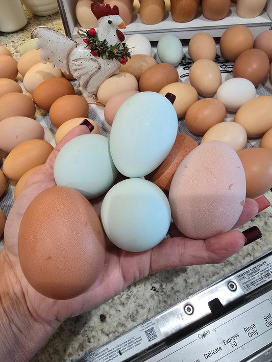 One Dozen Farm Fresh Eggs